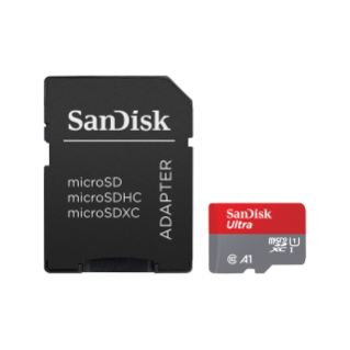 SanDisk Ultra microSDXC 256GB w/ SD Adapter