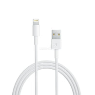 Apple Lightning to USB Cable (1 m)