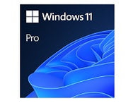 MS Windows 11 Professional 64-bit License - Download