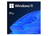 MS Windows 11 Professional 64-bit License - Download